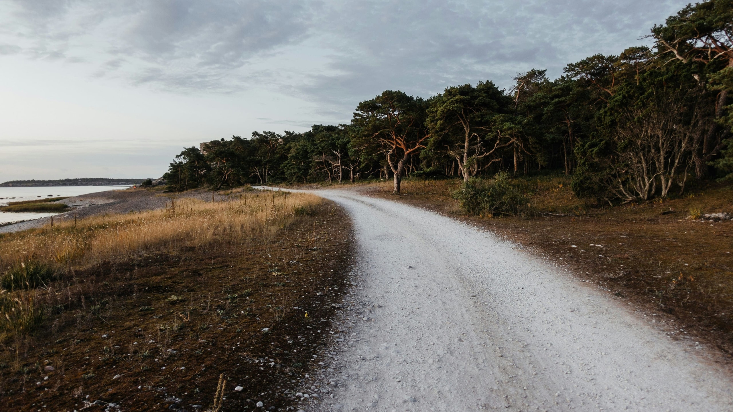 Road in Gotland